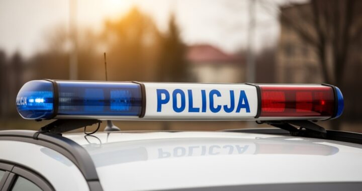 boche--scy-policjanci-zatrzymali-podejrzanego-o-us-auto-6088